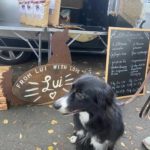 balu_lui_hundefutter