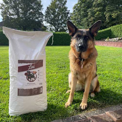 lui_hundefreunde_bella